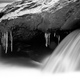 Illustration for article titled Shooting Challenge: ICE, Gallery 1